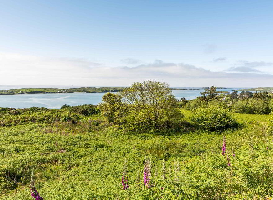 Foxcliff, Colla Hill, Schull, P81TX48