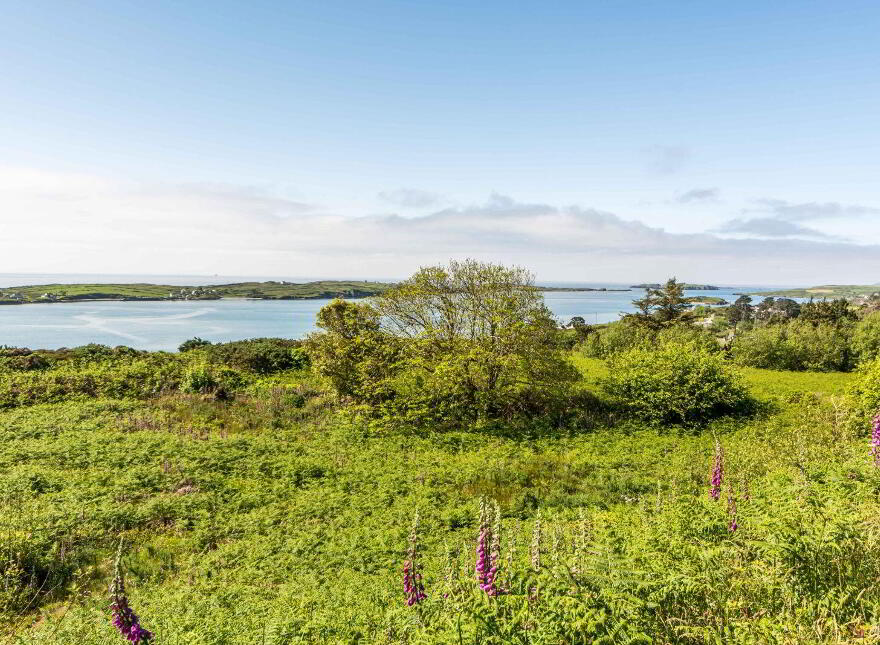 Foxcliff, Colla Hill, Schull, P81TX48