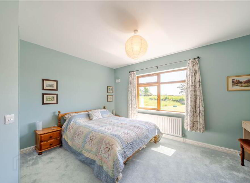 Terranova, Tawnawoggaun, Newport, F28K099