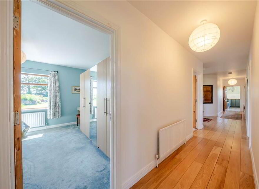 Terranova, Tawnawoggaun, Newport, F28K099