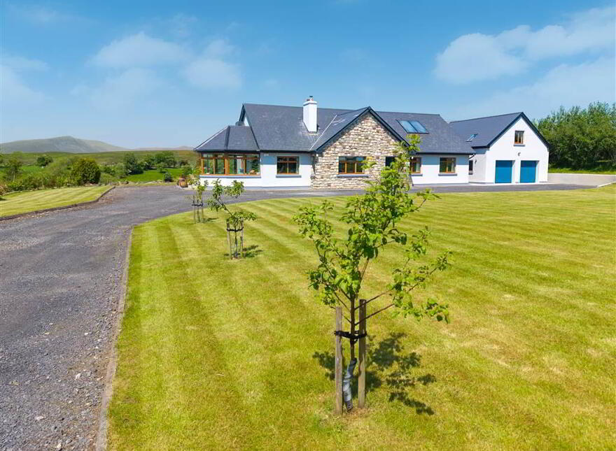 Terranova, Tawnawoggaun, Newport, F28K099