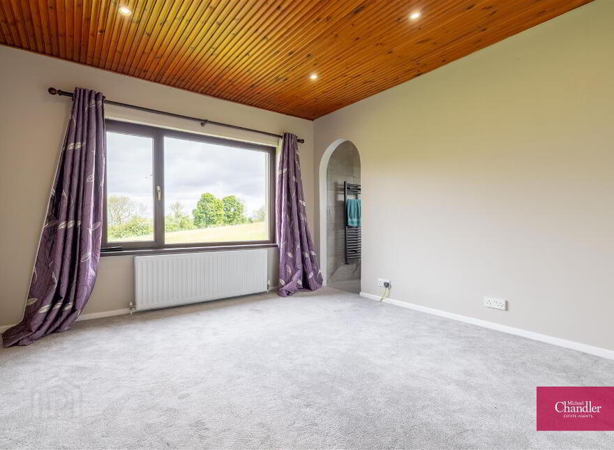 51a Front Road, Drumbo, Lisburn, BT27 5JX