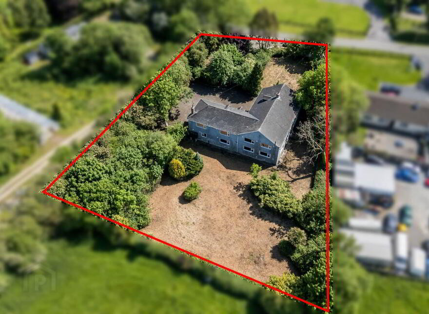 Ivy Leaf, Mooretown, Ratoath, A85C998