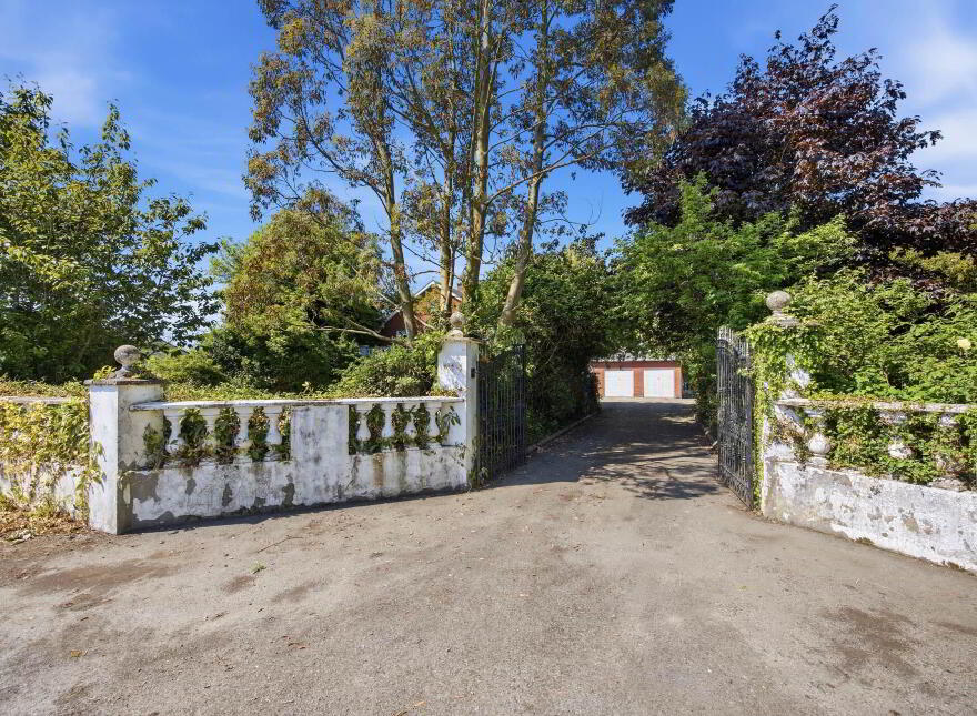 Ivy Leaf, Mooretown, Ratoath, A85C998
