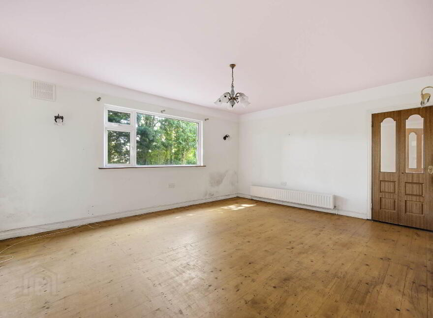 Ivy Leaf, Mooretown, Ratoath, A85C998