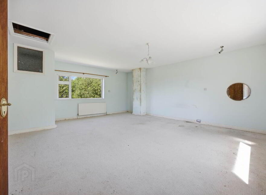 Ivy Leaf, Mooretown, Ratoath, A85C998