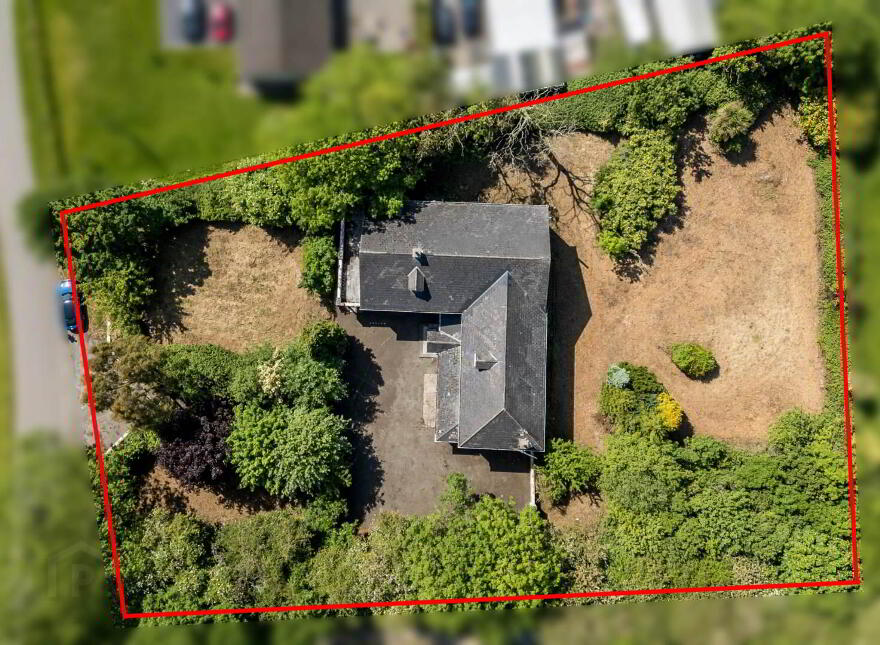 Ivy Leaf, Mooretown, Ratoath, A85C998