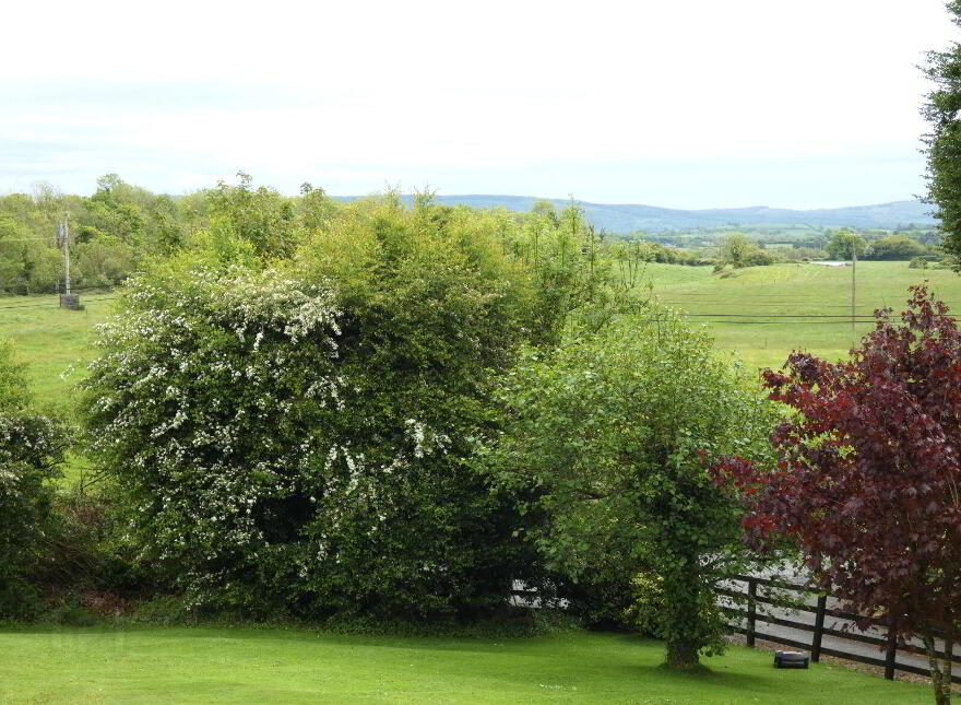 Ballyhickey, Clooney, Clooney, V95Y275