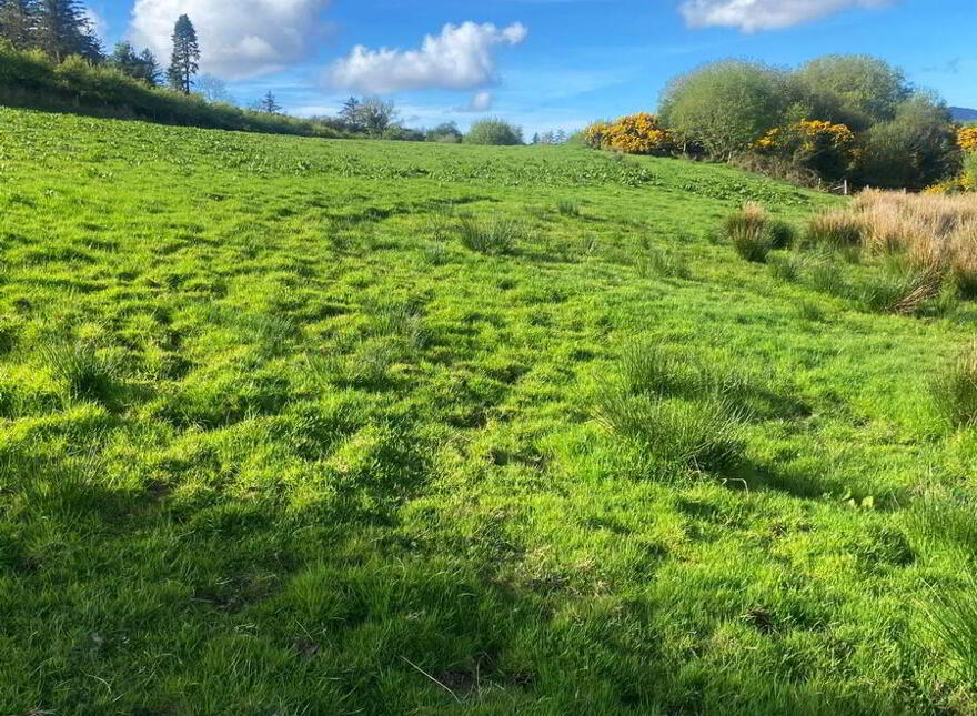 Tirhillion, Termon, Kilmacrennan, F92VH50