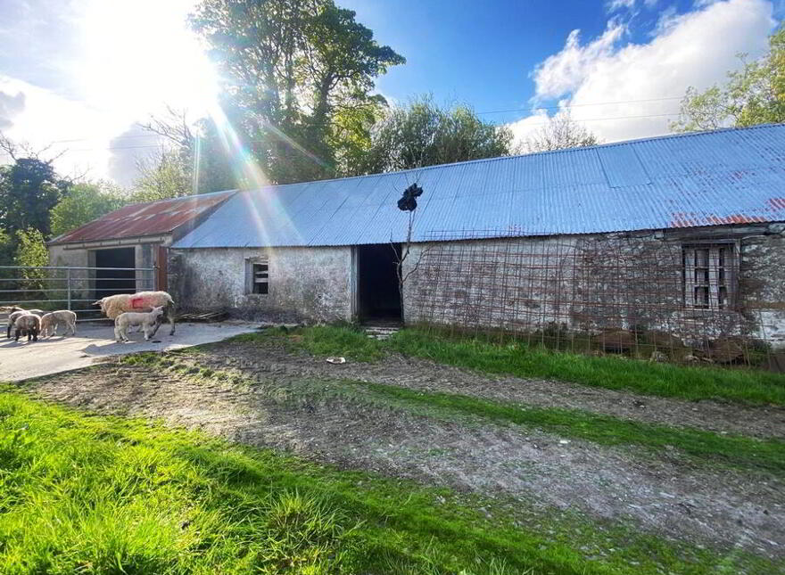 Tirhillion, Termon, Kilmacrennan, F92VH50