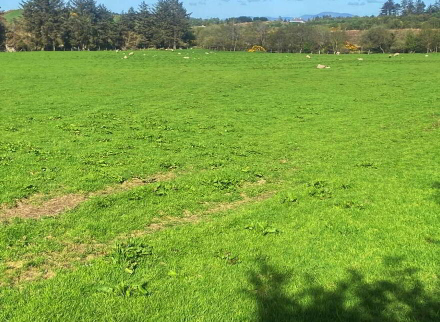 Tirhillion, Termon, Kilmacrennan, F92VH50