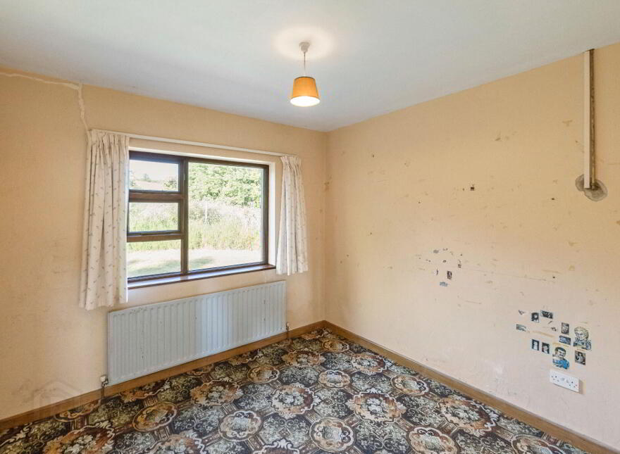 Saoirse, Upper Jenkinstown, Jenkinstown, A91DH77