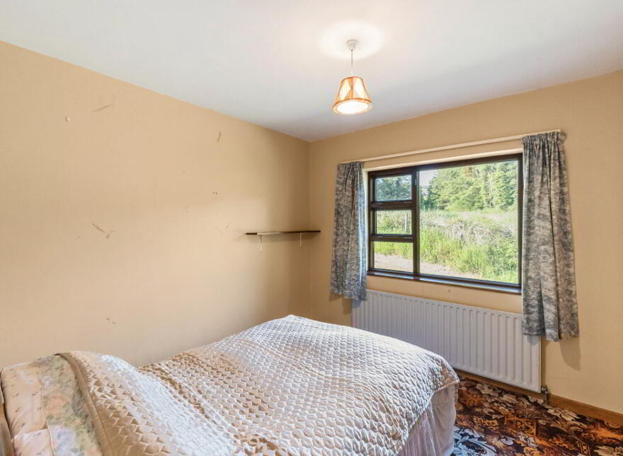 Saoirse, Upper Jenkinstown, Jenkinstown, A91DH77