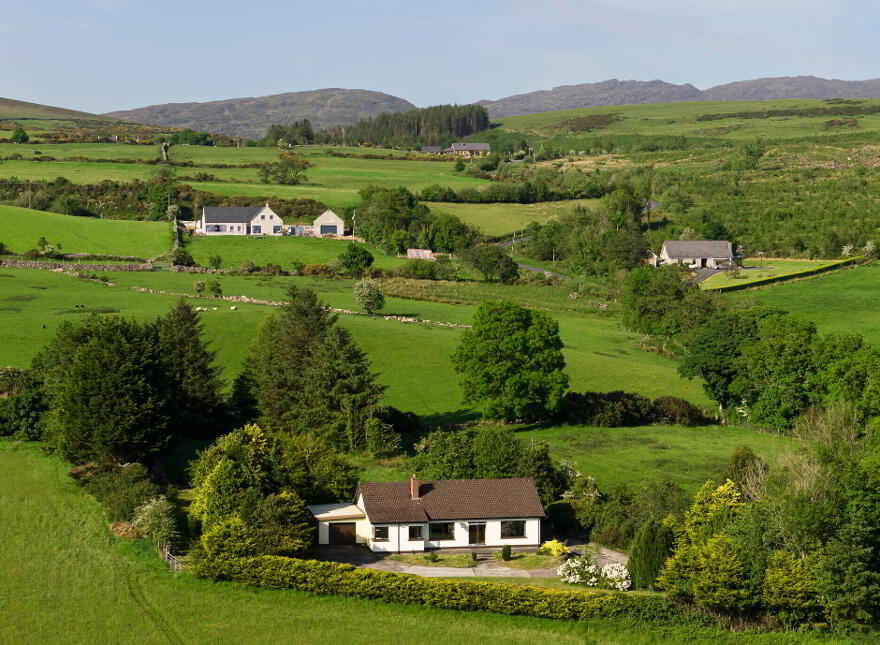 Saoirse, Upper Jenkinstown, Jenkinstown, A91DH77