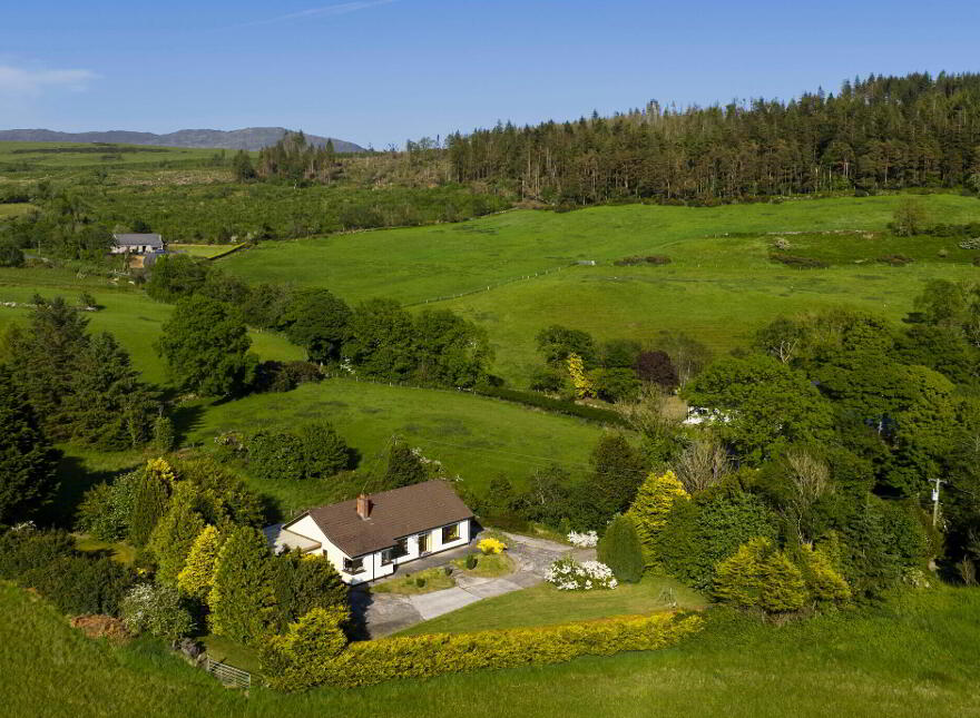 Saoirse, Upper Jenkinstown, Jenkinstown, A91DH77