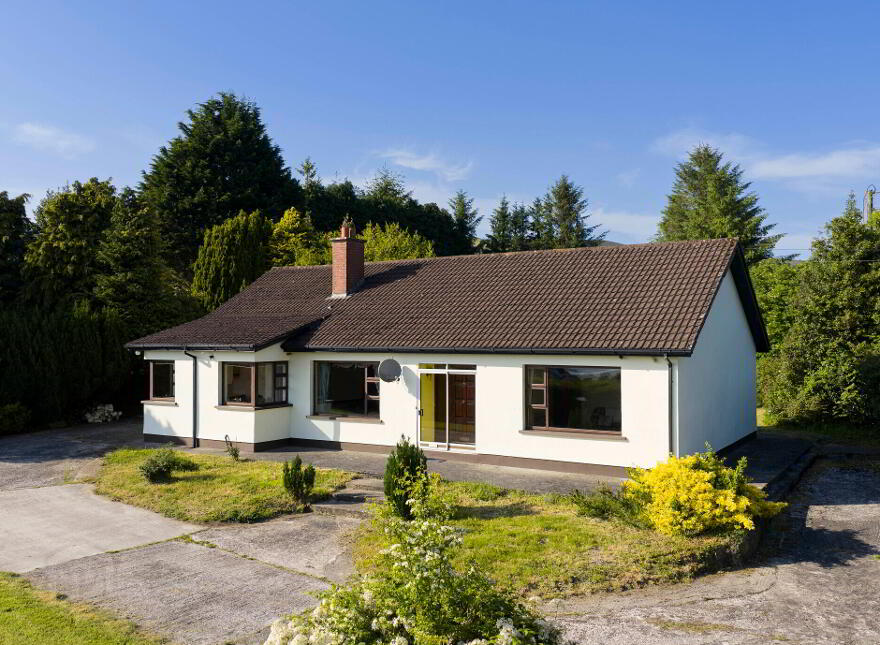 Saoirse, Upper Jenkinstown, Jenkinstown, A91DH77