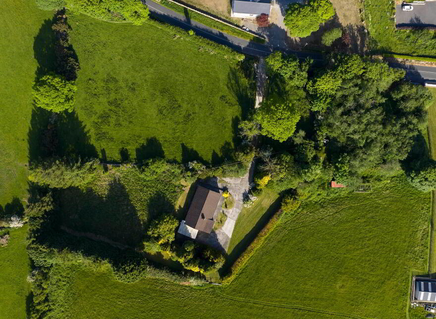 Saoirse, Upper Jenkinstown, Jenkinstown, A91DH77