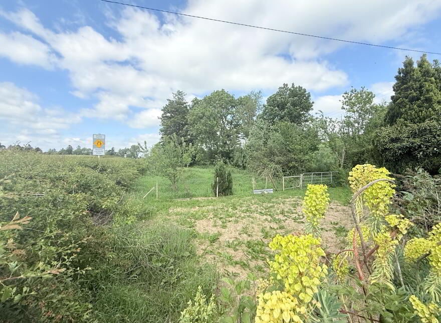 Knockronaghan, Emyvale, H18ER82