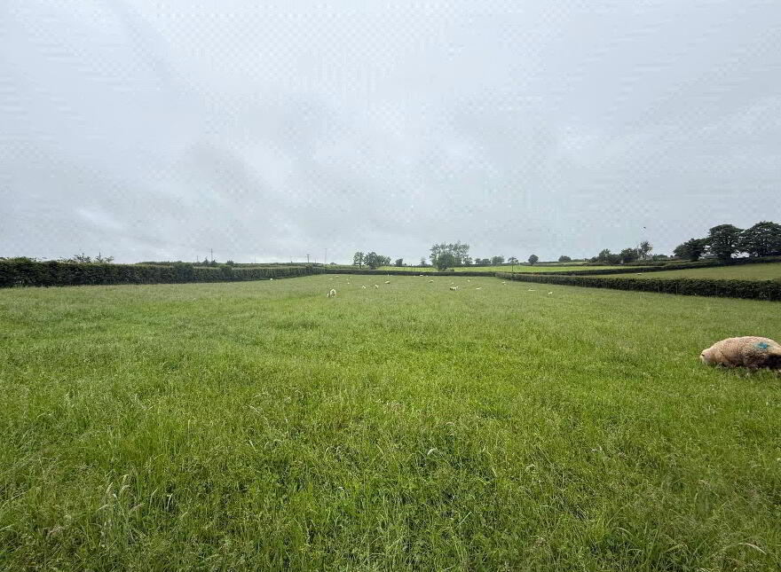14.5 Acre Small Holding, 25 Currish Lane, Portglenone, Ballymena, BT44 8JW