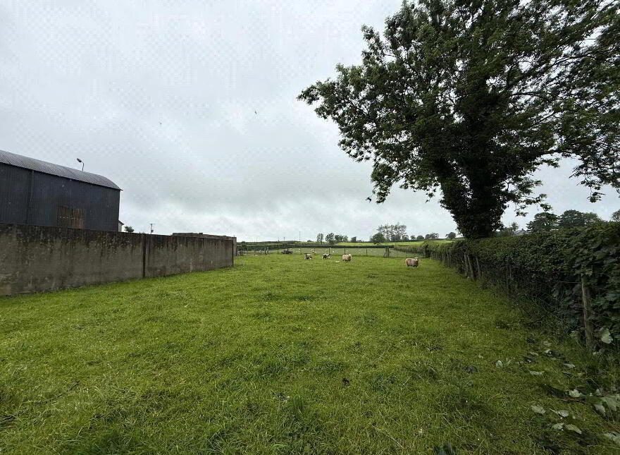 14.5 Acre Small Holding, 25 Currish Lane, Portglenone, Ballymena, BT44 8JW