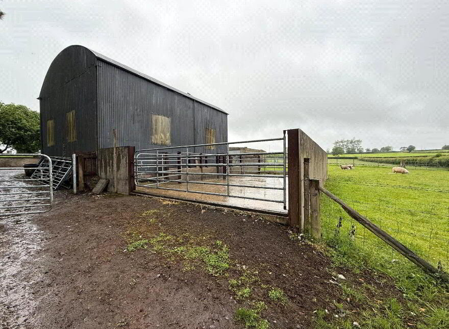 14.5 Acre Small Holding, 25 Currish Lane, Portglenone, Ballymena, BT44 8JW