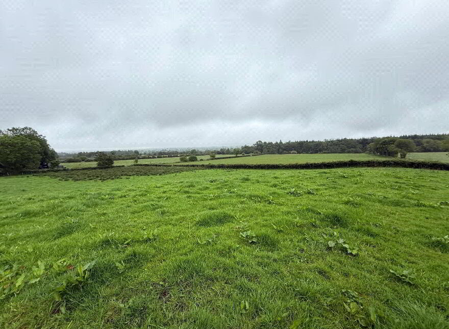 14.5 Acre Small Holding, 25 Currish Lane, Portglenone, Ballymena, BT44 8JW