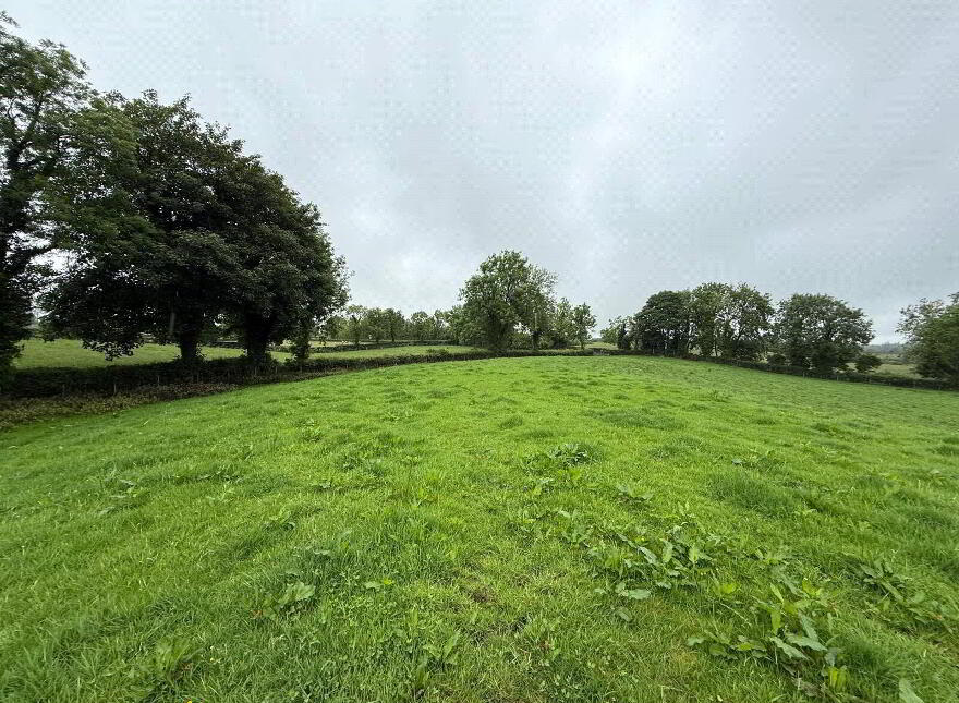 14.5 Acre Small Holding, 25 Currish Lane, Portglenone, Ballymena, BT44 8JW