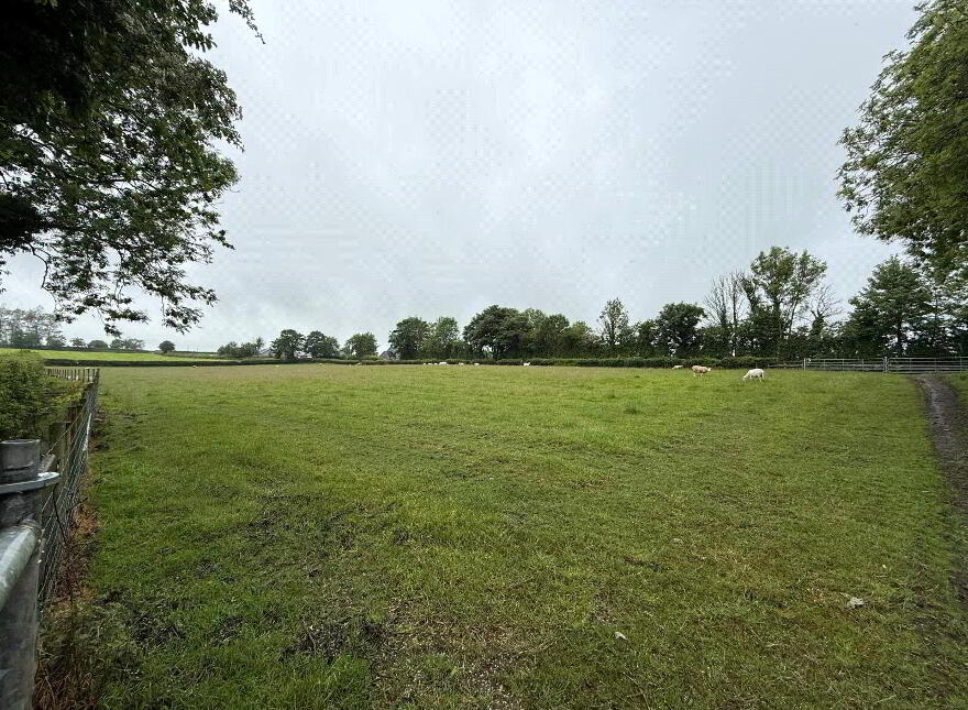 14.5 Acre Small Holding, 25 Currish Lane, Portglenone, Ballymena, BT44 8JW