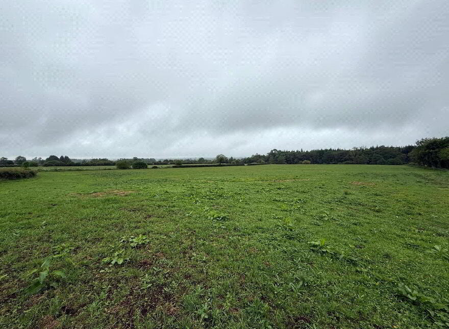 14.5 Acre Small Holding, 25 Currish Lane, Portglenone, Ballymena, BT44 8JW
