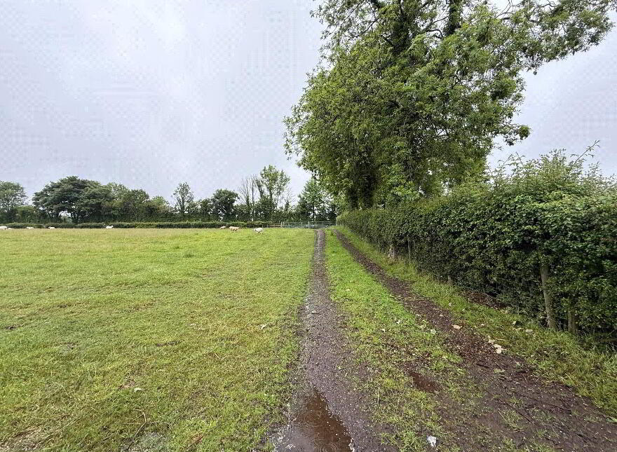 14.5 Acre Small Holding, 25 Currish Lane, Portglenone, Ballymena, BT44 8JW