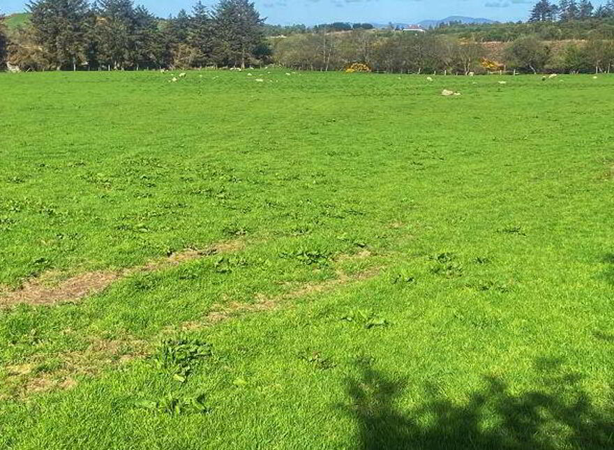 Tirhillion, Termon, Kilmacrennan