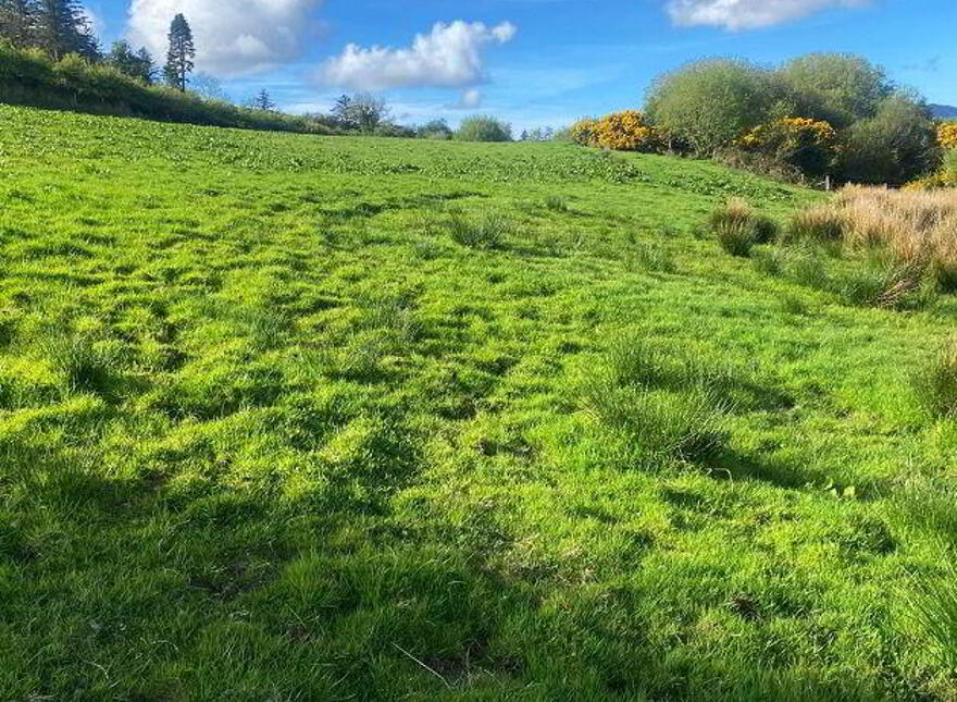 Tirhillion, Termon, Kilmacrennan