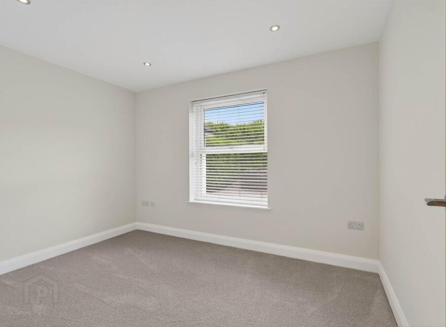 74B Belfast Road, Saintfield, Ballynahinch, BT24 7EX