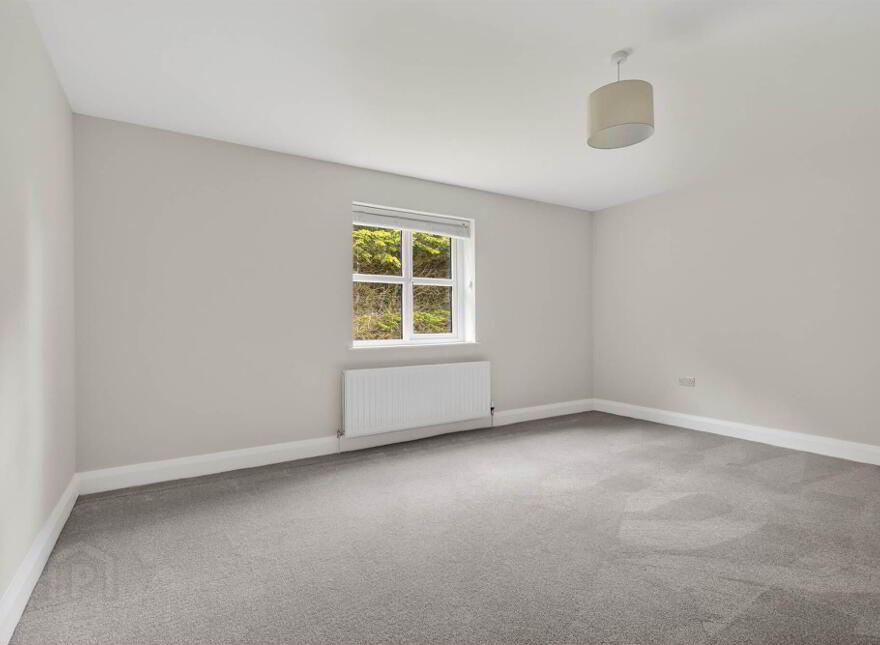 74B Belfast Road, Saintfield, Ballynahinch, BT24 7EX