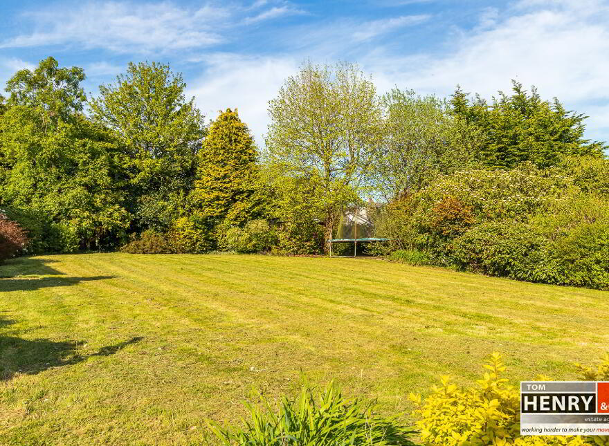 53 Killymeal Road, Dungannon, BT71 6LJ