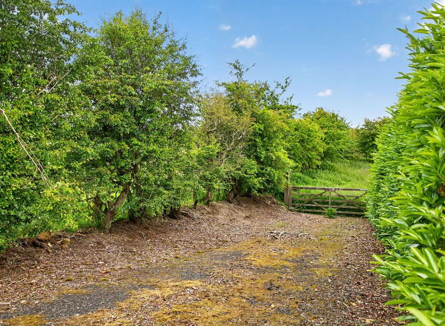 64 Carnbore Road, Bushmills, BT57 8YF