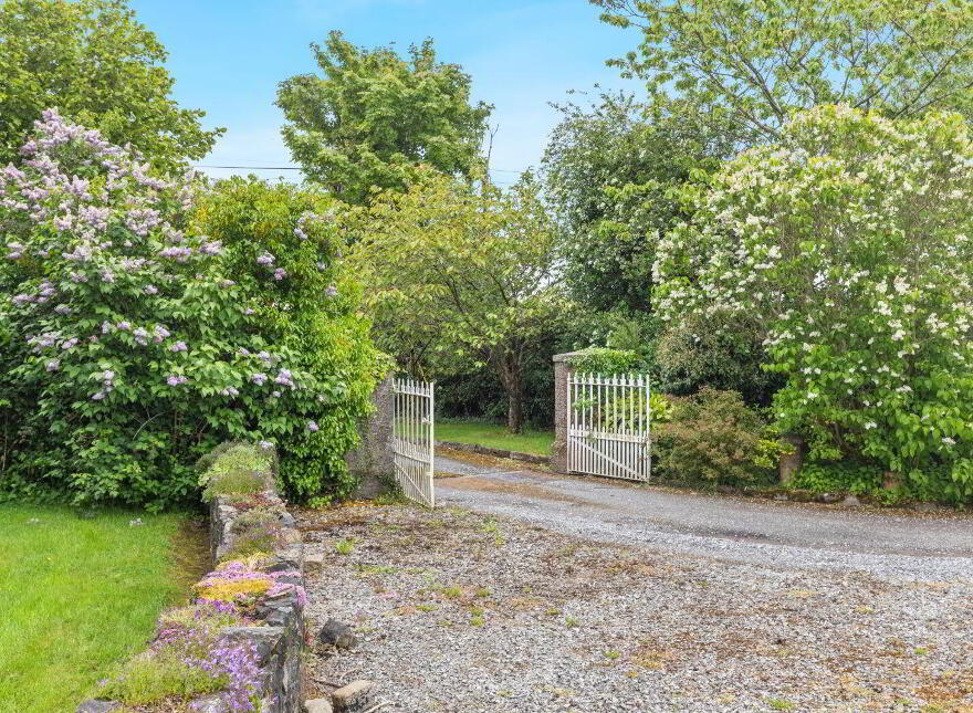 Cookstown, Tara, C15FX76
