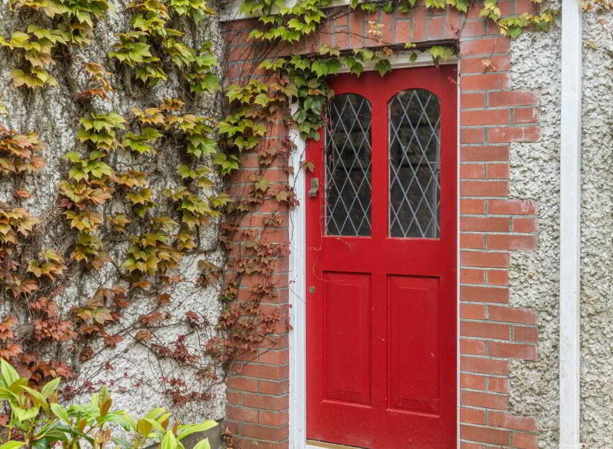 Cookstown, Tara, C15FX76