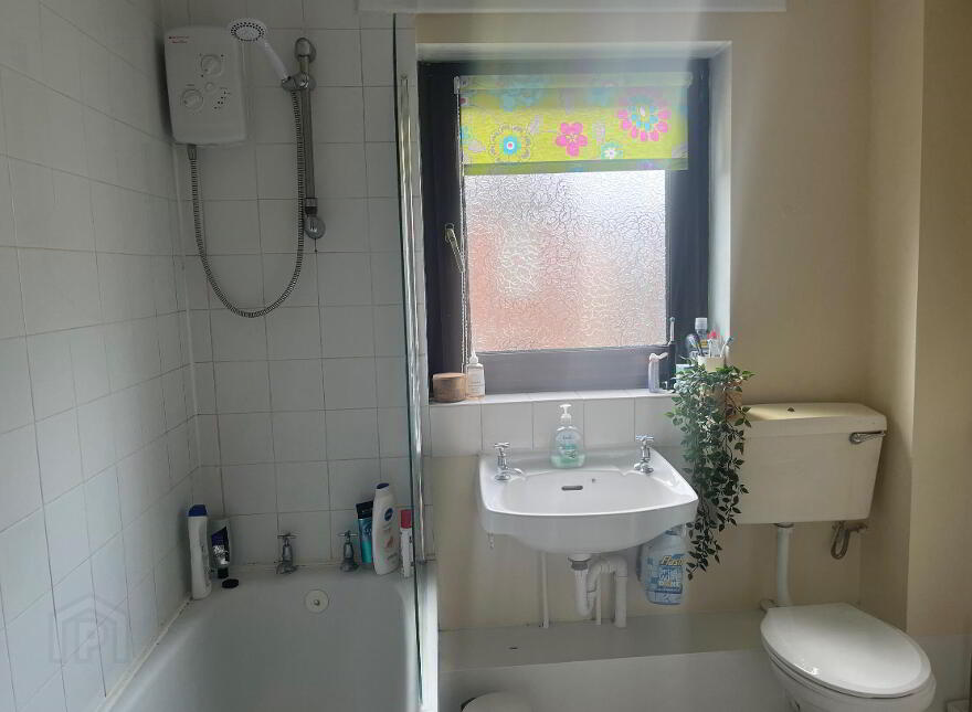 3 Somerset Street, Belfast, BT7 2GS