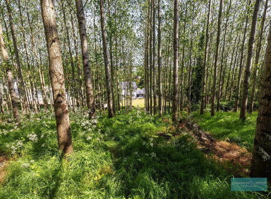 33 Villa Wood Road, Ashfield, Dromore, BT25 1LG
