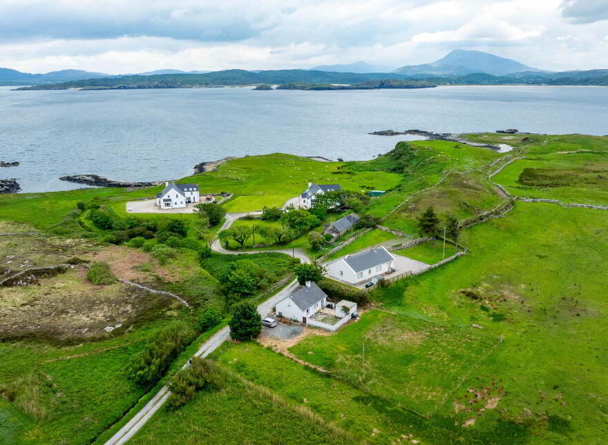 Wee Dan`s, Lower Downings, Downings, F92Y9E8