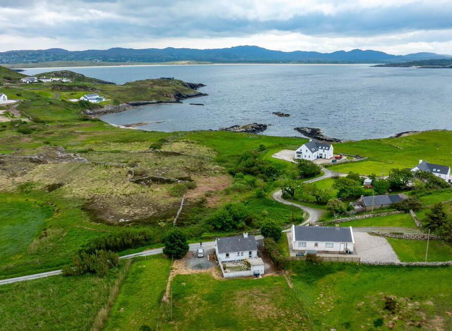 Wee Dan`s, Lower Downings, Downings, F92Y9E8