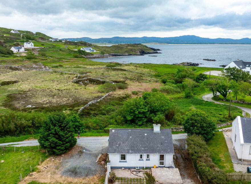Wee Dan`s, Lower Downings, Downings, F92Y9E8