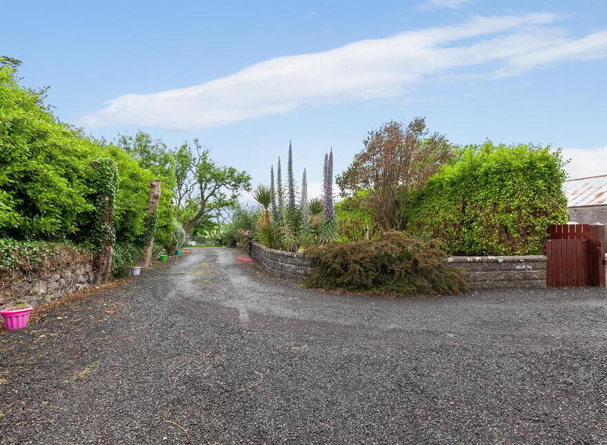 207 Gobbins Road, Islandmagee, BT40 3TX