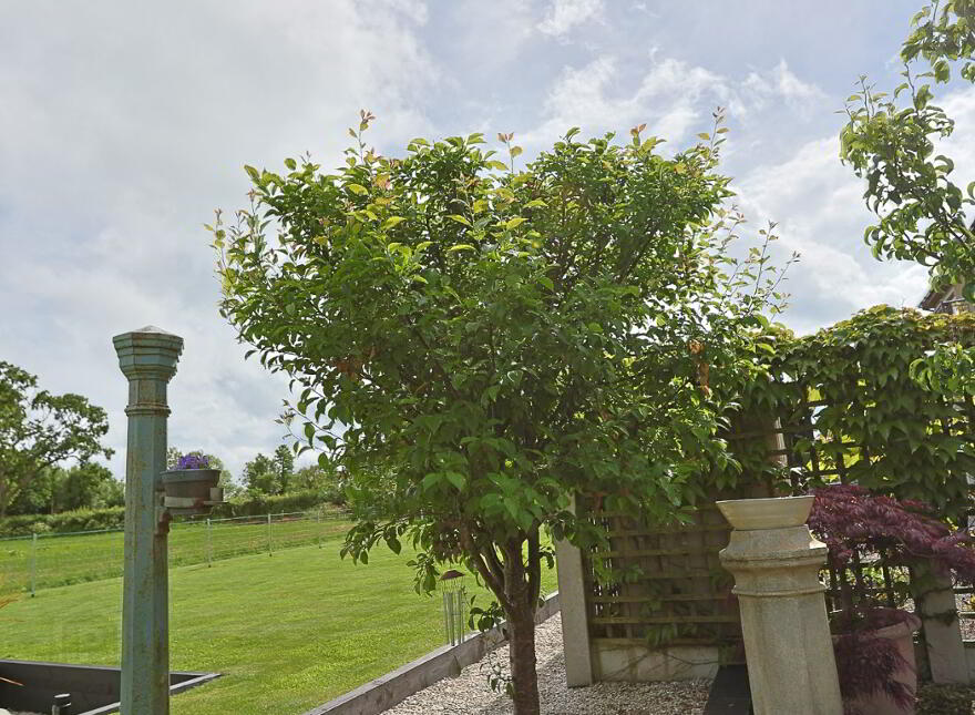 40 Dunkirk Road, Waringstown, Craigavon, BT66 7SW