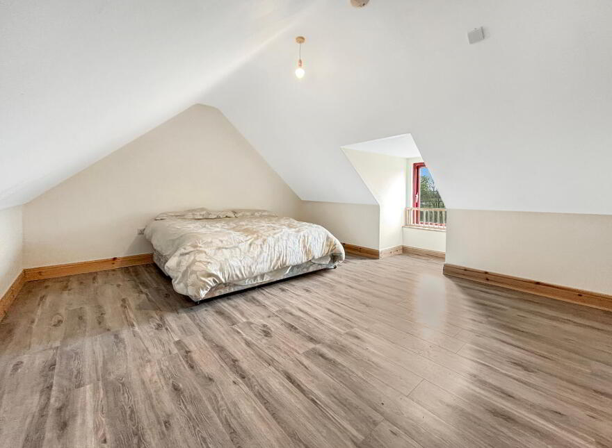 Mill Street, Borrisokane, E45YK64