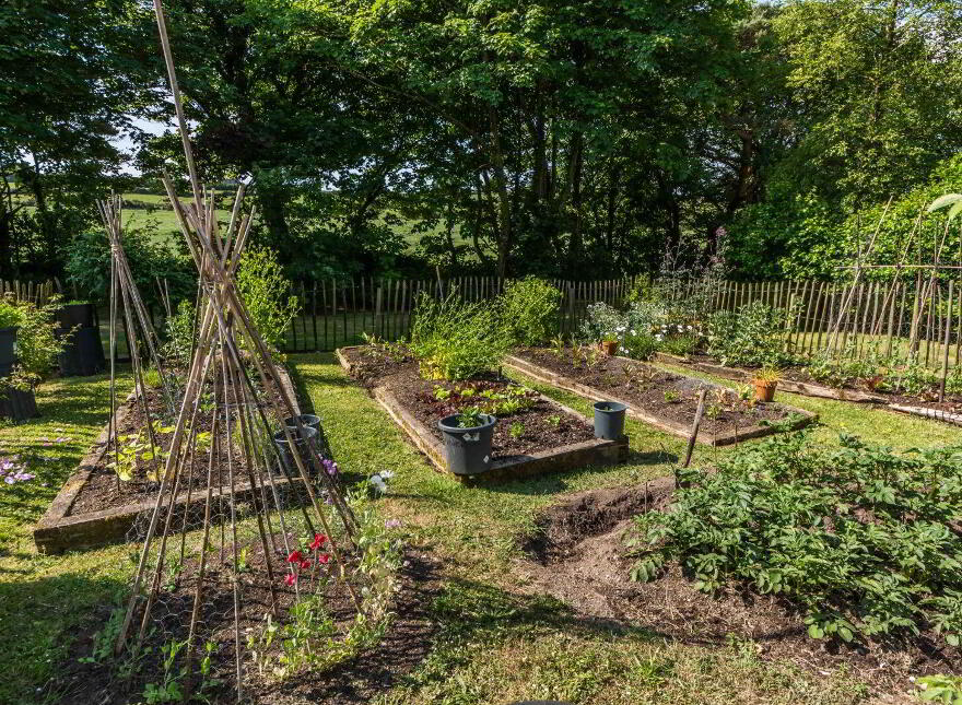 Arderawinny, Lowertown, Lowertown, P81EP46