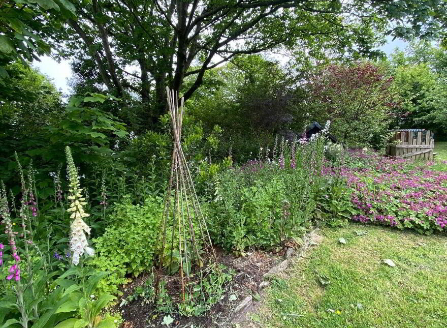 Arderawinny, Lowertown, Lowertown, P81EP46