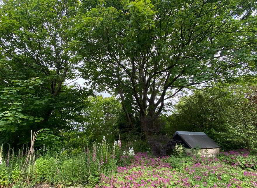 Arderawinny, Lowertown, Lowertown, P81EP46