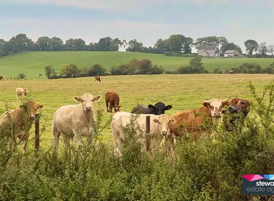 2 Coolsallagh Cottages, Blackskull Road, Dromore, BT25 1GZ